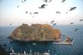 Dokdo's East Islet with Seagulls